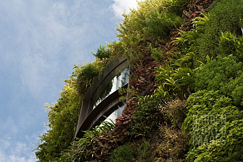 GREEN_LIVING_WALL_OF_BUILDING