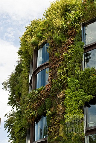 GREEN_LIVING_WALL_OF_BUILDING
