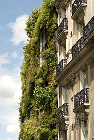 GREEN_LIVING_WALL_OF_BUILDING