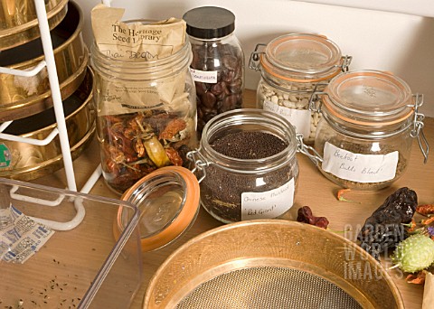 STORED_DRIED_SEEDS_IN_CONTAINERS