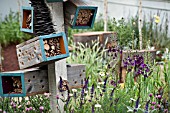 BOXES PROVIDING INSECT HABITAT