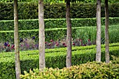 HORNBEAM, CARPINUS BETULUS, BOX AND YEW HEDGE