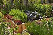 RAISED VEGETABLE BEDS