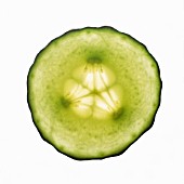 CUCUMIS SATIVUS, CUCUMBER