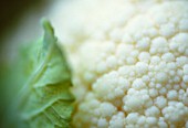 BRASSICA OLERACEA BOTRYTIS, CAULIFLOWER