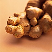 ZINGIBER OFFICINALE, GINGER