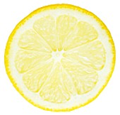 CITRUS LIMON, LEMON