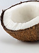 Cocos nucifera, coarse textured brown shell