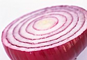 ALLIUM CEPA, ONION