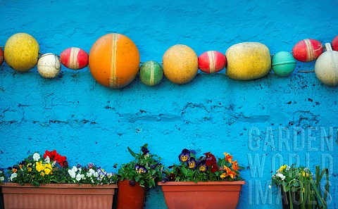 Flowers_in_containers_with_nautical_fishing_floats_Dingle_Ireland