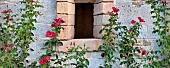 Roses against stone wall with window, Castello di Amorosa, Napa Valley, California, USA.