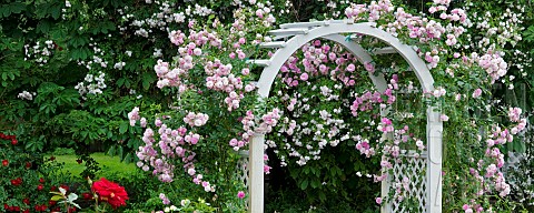 Arch_with_climbing_roses_Heirloom_Gardens_St_Paul_Oregon_USA
