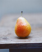 PYRUS COMMUNIS, PEAR