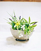 HERBS IN COLANDER