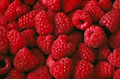 RUBUS IDAEUS, RASPBERRY