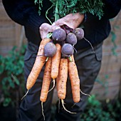 MIXED VEGETABLES