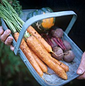 MIXED VEGETABLES