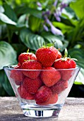 STRAWBERRIES IN GLASS BOWL