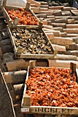 CAPSICUM ANNUUM, CRATES OF DRIED CHILLIES