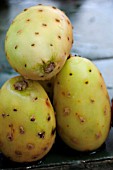 PRICKLY PEAR CACTUS, FRUIT