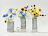 Studio shot of Cornflower, Centaurea cyanus Cow parsley, Anthriscus sylvestris Cow parsley, Anthriscus sylvestris arranged in glazed pots Artistic textured layers added to image to produce a painterly effect.