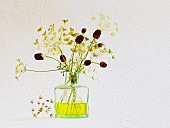 Studio shot of  Cow parsley, Anthriscus sylvestris and Salad Burnet, Sanguisorba minor arranged in green glass antique ink bottle Artistic textured layers added to image to produce a painterly effect.