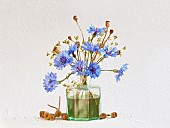 Studio shot of Cornflower, Centaurea cyanus and Poppy, Papaver seedheads arranged in glass green antique ink bottle, Artistic textured layers added to image to produce a painterly effect.