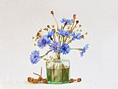 Studio shot of Cornflower, Centaurea cyanus and Poppy, Papaver seedheads arranged in glass green antique ink bottle, Artistic textured layers added to image to produce a painterly effect.