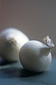 ALLIUM CEPA, ONION - PEARL ONION