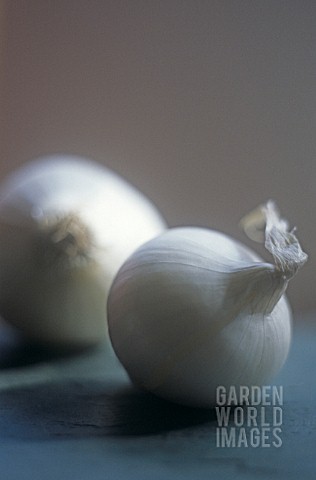 ALLIUM_CEPA_ONION__PEARL_ONION