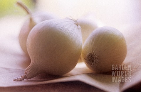 ALLIUM_CEPA_ONION__PEARL_ONION