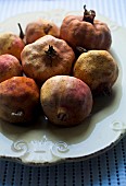 Pomegranate, Punica granatum, Studio shot of fruit in a bowl.