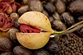 MYRISTICA FRAGRANS, NUTMEG, MACE