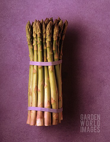 ASPARAGUS_OFFICINALIS_ASPARAGUS