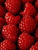 RUBUS IDAEUS, RASPBERRY