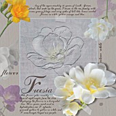 FREESIA, FREESIA