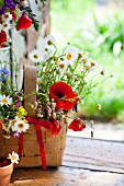 ARGYRANTHEMUM FRUTESCENS