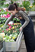 Young girl working in garden centre.