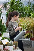 Young girl working in garden centre, Watering plants.