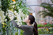 Young girl working in garden centre.