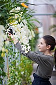 Young girl working in garden centre.