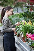 Young girl working in garden centre.