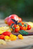 Tomato, Lycopersicon esculentum , Studio shot or red tomoatoes on wooden board.