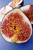 FICUS CARCIA, FIG