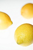 CITRUS LIMON, LEMON