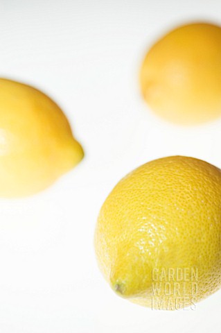 CITRUS_LIMON_LEMON