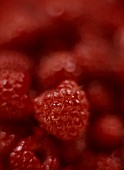 RUBUS IDAEUS, RASPBERRY