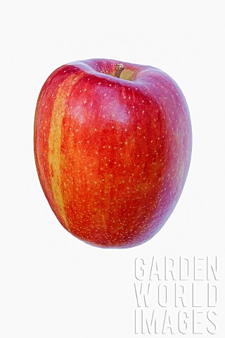 Apple_Malus_domestica_Braeburn_Studio_shot_of_red_fruit_against_white_background