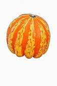 Squash, Carnival squash, Cucurbita pepo Carnival , Studio shot of single orange coloured fruit against white background.