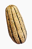 Squash, Delicata squash, Cucurbita pepo Delicata, Studio shot of vegetable against white background.